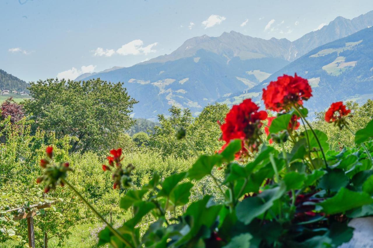Bed and Breakfast Garni Stübele Dorf Tirol Exterior foto